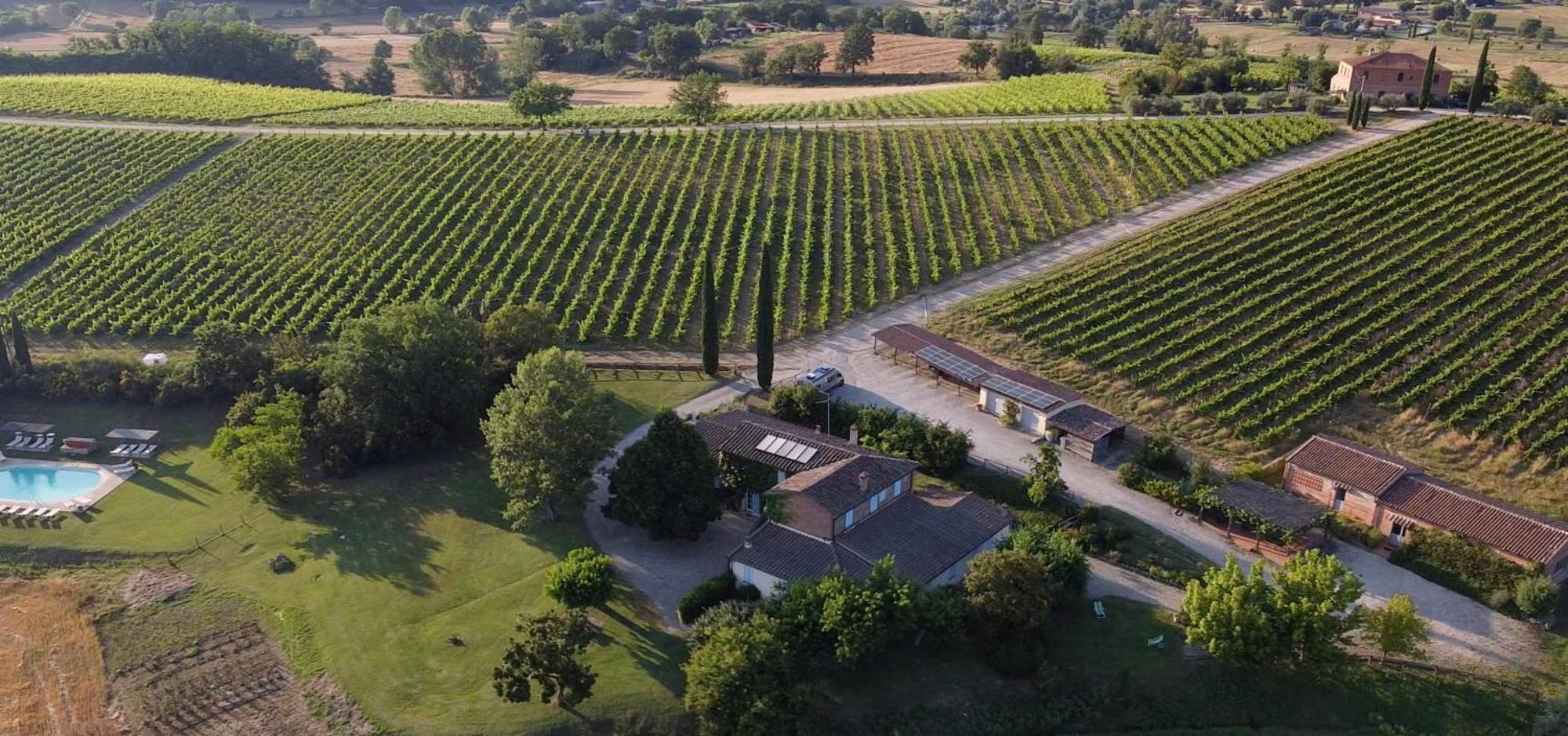 Agriturismo Fattoria Santa Vittoria Pozzo (Arezzo) Exterior foto