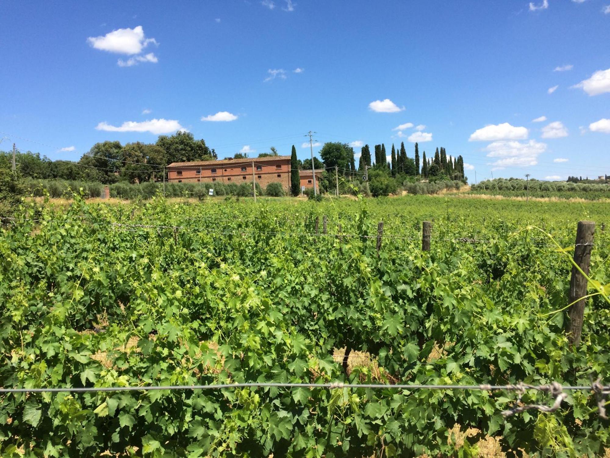 Agriturismo Fattoria Santa Vittoria Pozzo (Arezzo) Exterior foto